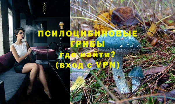 а пвп мука Верхний Тагил